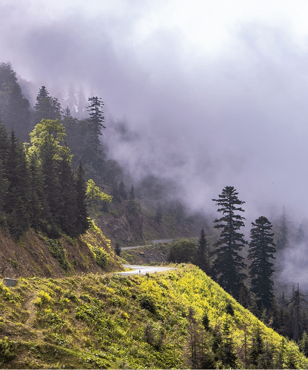 Chasing Fog – A Morning in…