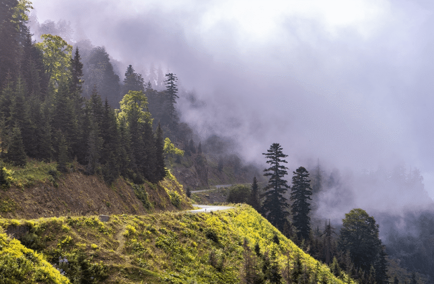 Chasing Fog – A Morning…