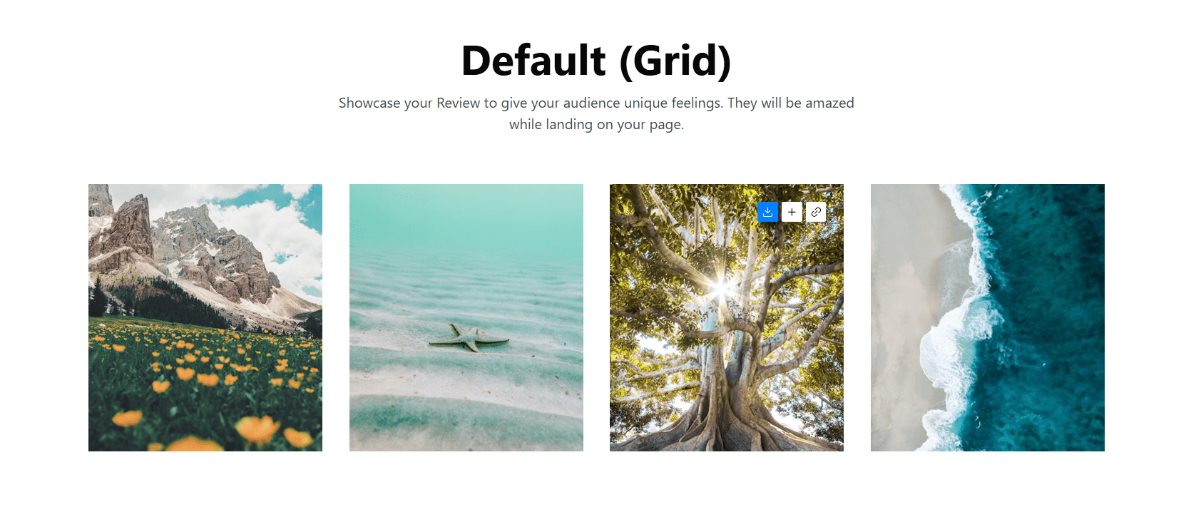 Gallery Block #Style 1