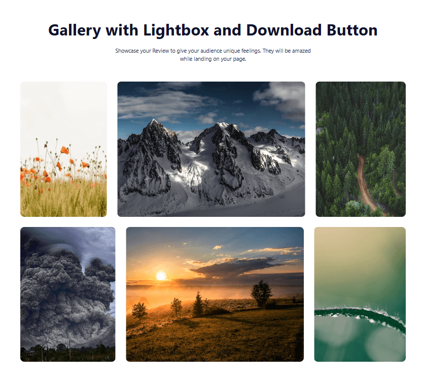 Gallery Block #Style 5