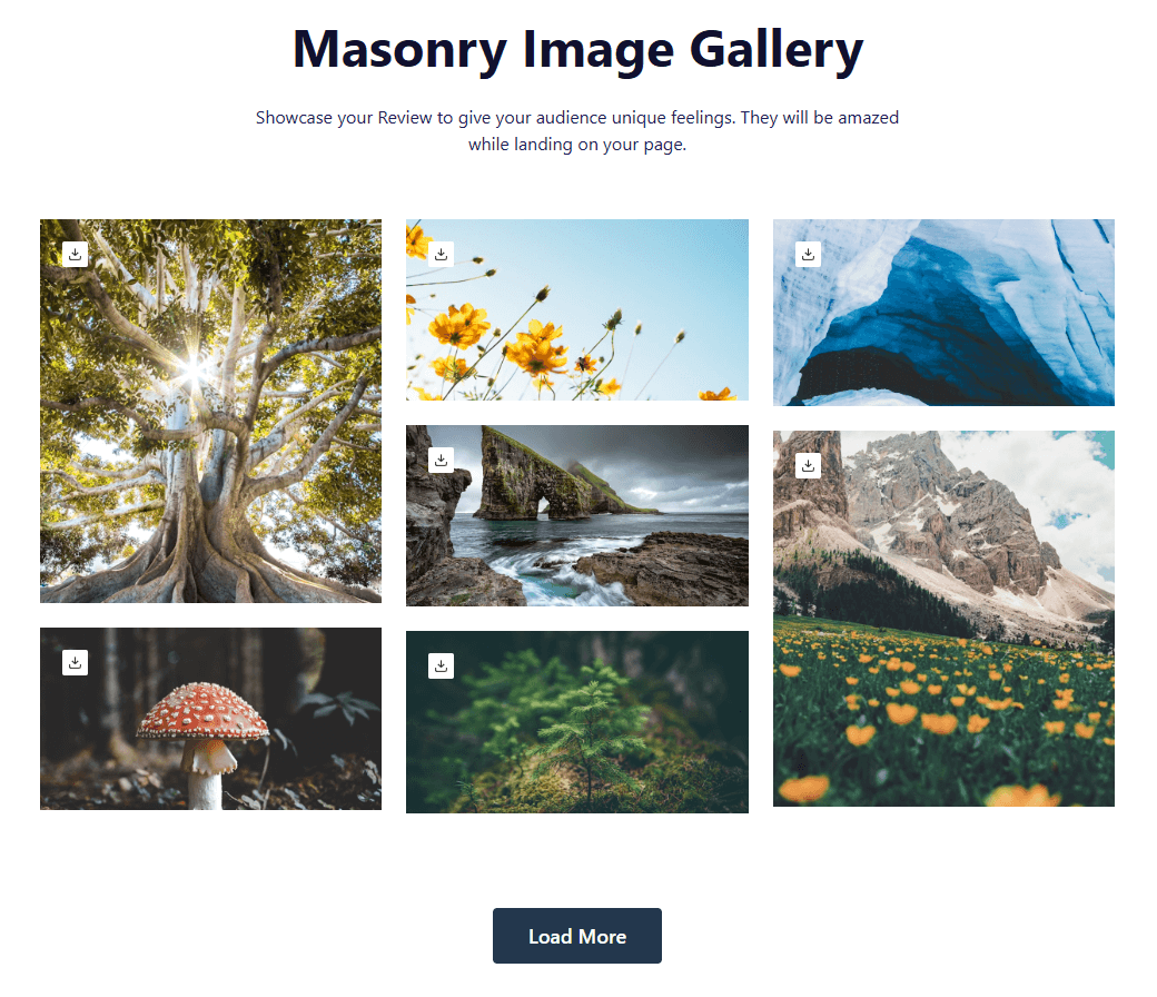 Gallery Block #Style 7